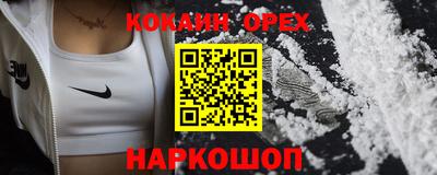 крисы Кингисепп
