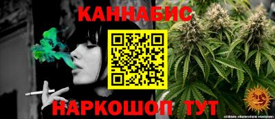 крисы Кингисепп