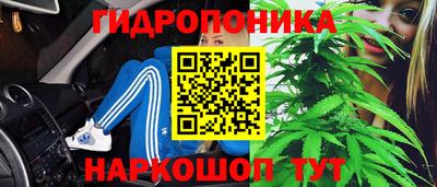 ГАЛЛЮЦИНОГЕННЫЕ ГРИБЫ Кинель