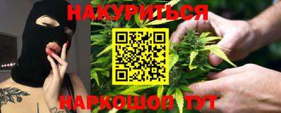 крисы Кингисепп