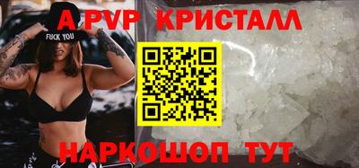 крисы Кингисепп