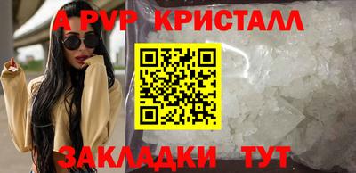 крисы Кингисепп