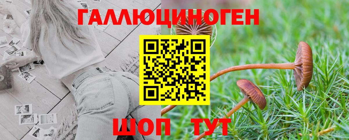 Псилоцибиновые грибы Magic Shrooms  Галлюциногенные грибы Cubensis  Вход с VPN  Лабытнанги 