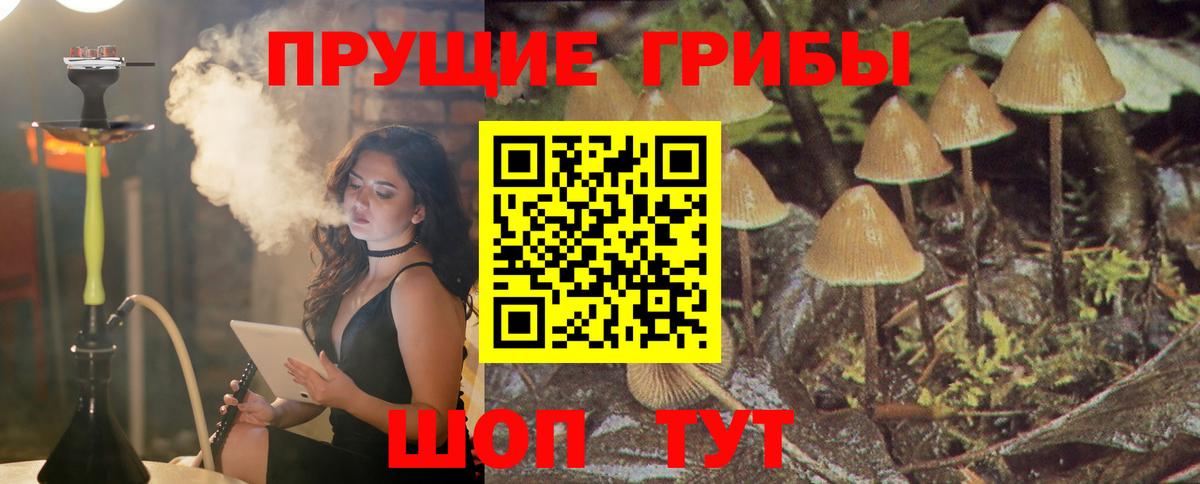 Псилоцибиновые грибы Cubensis Лабытнанги